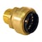 Apollo 1 in. Brass Push-to-Connect x 3/4 in. Male Pipe Thread Reducing Adapter FSBMA134 - alternate 5